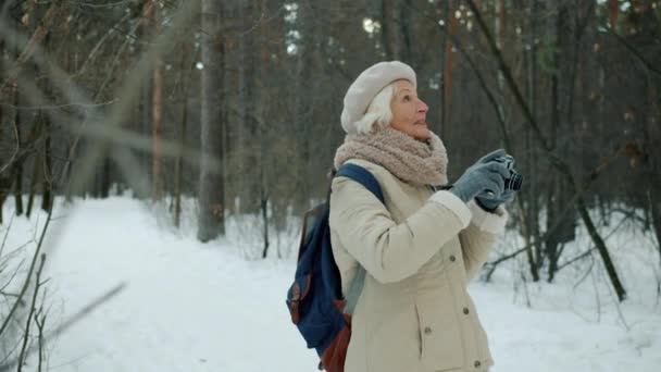 Happy elderly woman photographer taking pics with professional camera in winter park — Stock Video