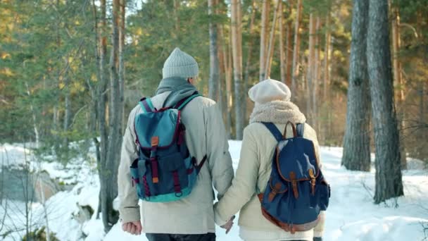 Dolly lövés érett férfi és nő hátizsákokkal séta téli erdőben kéz a kézben — Stock videók
