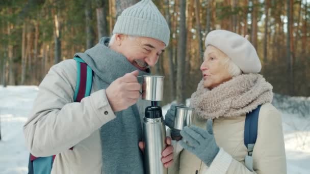 Un cuplu de bătrâni fericiți care beau ceai fierbinte din termos și vorbesc în aer liber în parcul de iarnă — Videoclip de stoc