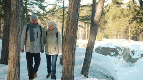 Dolly shot szczęśliwej pary starsza kobieta i mężczyzna korzystających spacer w lesie zimowym — Wideo stockowe