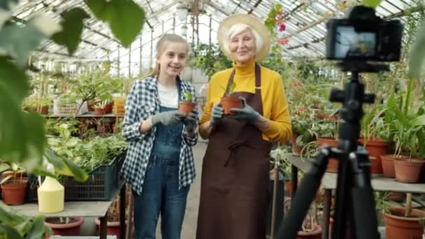 Glad familj unge och mormor inspelning video för vlog i växthus visar tummen upp gest talar — Stockvideo