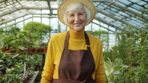 Ritratto di bella donna anziana con cappello e grembiule in piedi in serra sorridente — Video Stock