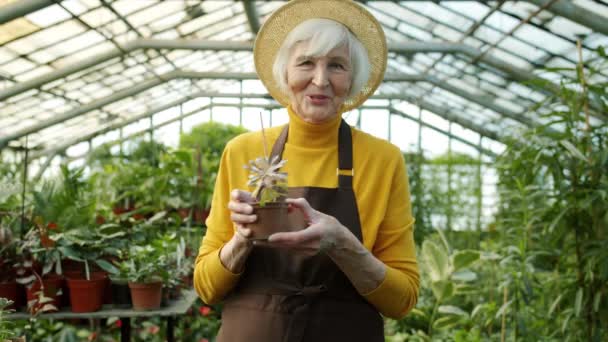 快乐的园艺师vlogger记录了一段关于植物挥手和竖起大拇指的视频 — 图库视频影像