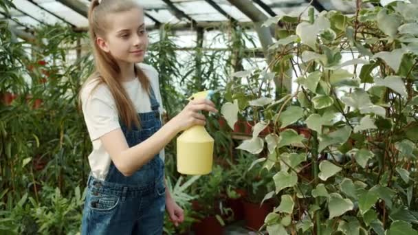 Cámara lenta de lindo niño rociando agua de hojas de plantas ayudando en invernadero disfrutando de la actividad — Vídeos de Stock