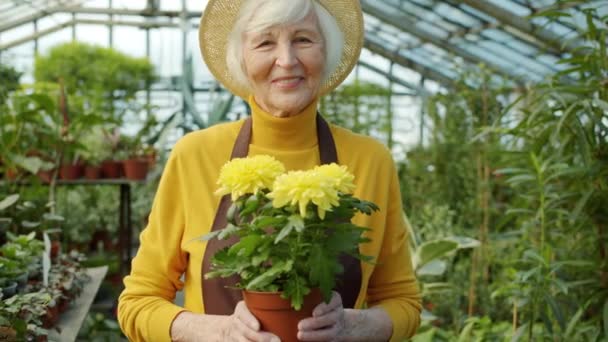 老年女性花匠拿着花盆站在温室里的慢动作肖像 — 图库视频影像