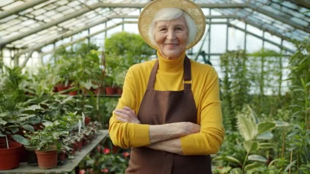 Πορτρέτο της ηλικιωμένης κηπουρός γυναίκα χαμογελώντας κλείσιμο του ματιού κοιτάζοντας κάμερα στέκεται στο θερμοκήπιο με σταυρωμένα τα χέρια — Αρχείο Βίντεο
