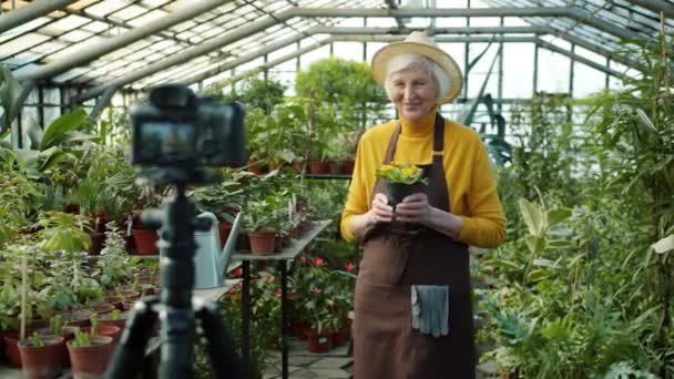 Senior γυναίκα vlogger καταγραφή βίντεο στο θερμοκήπιο εκμετάλλευση εργοστάσιο μιλάμε χρησιμοποιώντας κάμερα σε τρίποδο — Αρχείο Βίντεο