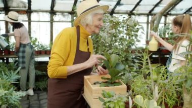 Kızım ve torunum çalışırken sera sahibi tabletle envanter yapıyor.