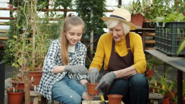 화분에 꽃을 심는 아이와 할머니는 온실에서 하이파이브를 합니다. — 비디오