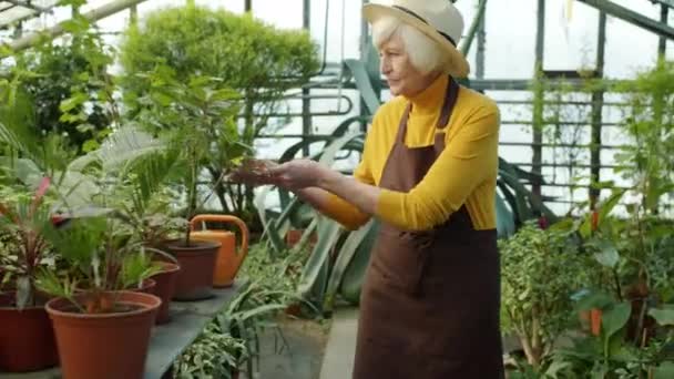 Old woman in uniform walking in greenhouse working alone checking plants in pots — Stock Video