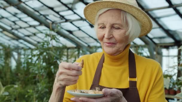 Elderly woman gardener choosing onion bulbs for plantation working in hothouse — Stock Video