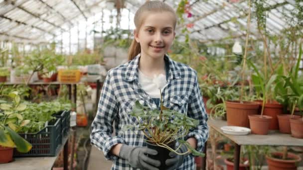 Retrato de menina de pé dentro de estufa segurando planta pote sorrindo e olhando para a câmera — Vídeo de Stock