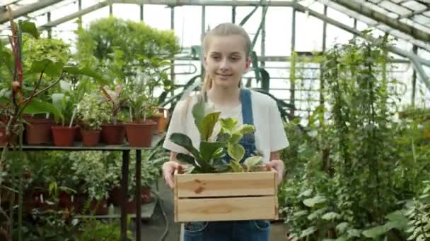 Girl carrying plants in greenhouse then talking to mother working together — Stock Video