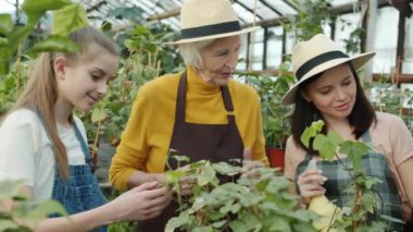 Serada bitkileri tartışan kadın ve çocuğun yavaş çekimde yeşilliğe bakması