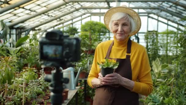Ανώτερη γυναίκα influencer μοιράζονται τις ιδέες για την καλλιέργεια φυτών καταγραφή βίντεο για online vlog — Αρχείο Βίντεο