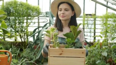 Kızı ve büyükannesi arka planda çalışırken serada elinde bitkilerle dolaşan bir kadın resmi.