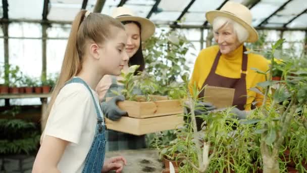 Alegre familia de niños y adultos charlando trabajando en el invernadero contando plantas juntos — Vídeos de Stock