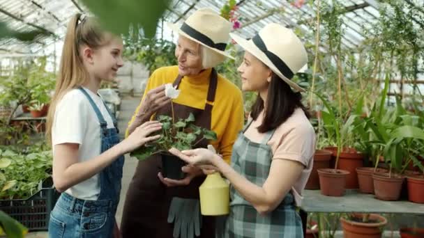 Happy people women and child admiring flower in greenhouse smelling and talking — Stock Video