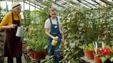 Büyükanne ve kız meyve bahçesinde çiçekleri suluyor gülümsüyor ve çiçeklerle ilgileniyor.