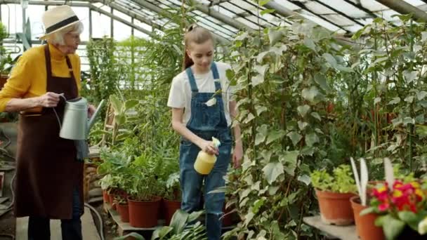 Oma und Mädchen gießen Pflanzen im Obstgarten und unterhalten sich lächelnd über die Pflege der Blumen — Stockvideo