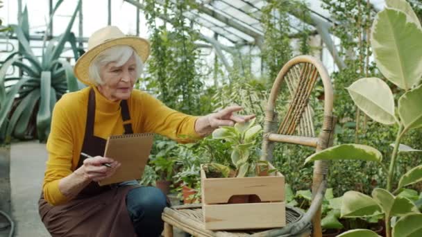 Seniorin überprüft Pflanzen und macht sich Notizen in Notizbuch, arbeitet allein im Gewächshaus — Stockvideo