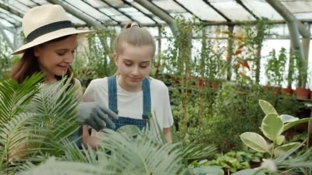 Women and kid gardeners enjoying flowers smell talking working together in greenhouse — Stock Video