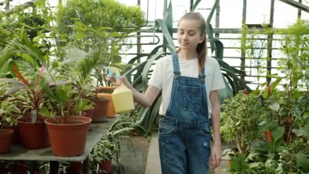 Child spraying flowers with water from sprinkling bottle caring for plants in greenhouse — Stock Video