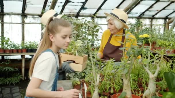 Nagymama és a gyermek dolgozik üvegház számolás növények és írás notebook — Stock videók