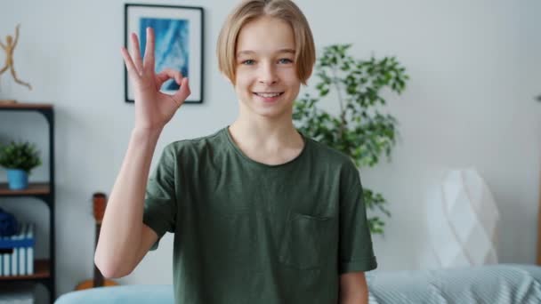 Slow motion portrait of cheerful teenager showing ok hand gesture and smiling at home — ストック動画