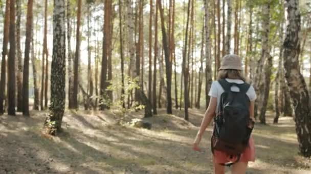 Rückansicht einer Touristin beim Wandern im sommerlichen Wald mit Rucksack, die schöne Landschaft genießt — Stockvideo