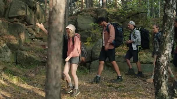 Seitenansicht von Touristen Freunde zu Fuß im Wald an Sommertagen halten Karte sprechen — Stockvideo