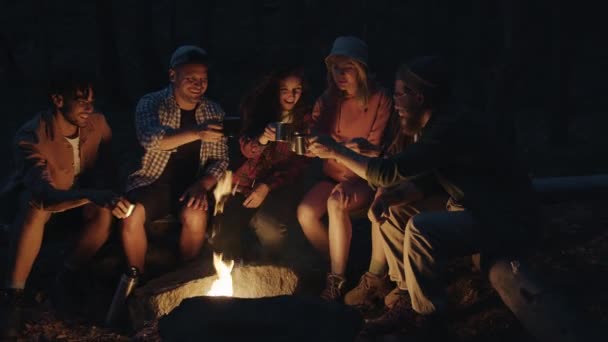 Obekymrade turister skålar clinking koppar sedan dricka sitter runt eld i skogen på natten — Stockvideo
