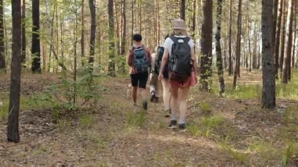Vista posterior cámara lenta de las niñas y los chicos caminando en el bosque en verano senderismo con mochilas — Vídeos de Stock