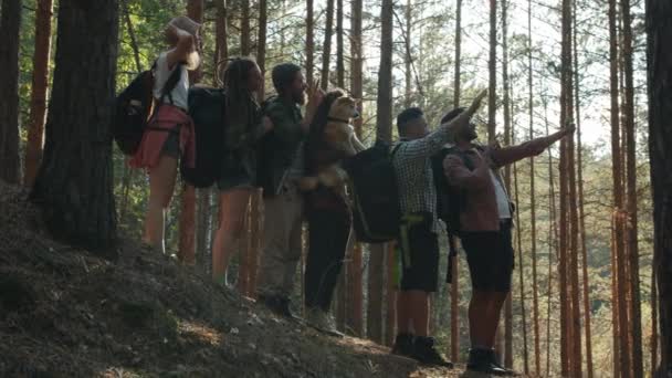 Portret kreatywnej młodzieży turyści robiący selfie aparatem smartfonowym w zielonym lesie — Wideo stockowe