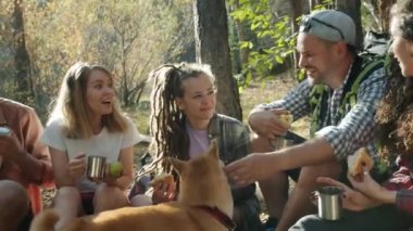 Çeşitli yürüyüşçüler sonbahar ormanlarında Shiba Inu köpeğiyle oynayıp içip gülüyorlar.