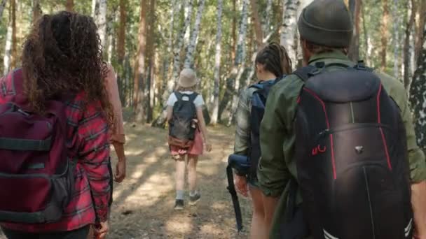 Vista trasera de los turistas jóvenes caminando por el bosque con mochilas mirando a su alrededor disfrutando de la vista — Vídeos de Stock