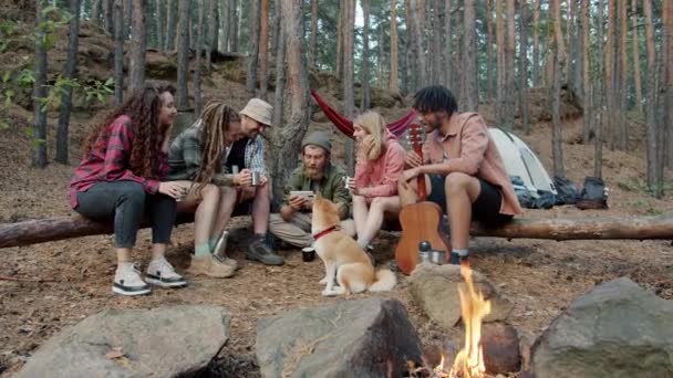 Groupe de touristes assis près du feu de camp dans la forêt regardant l'écran du smartphone et riant — Video