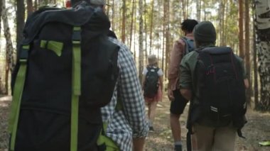 Turistlerin yavaş çekim arkası görüntüsü. Güneşli yaz gününde ormanda yürüyen arkadaşlar.