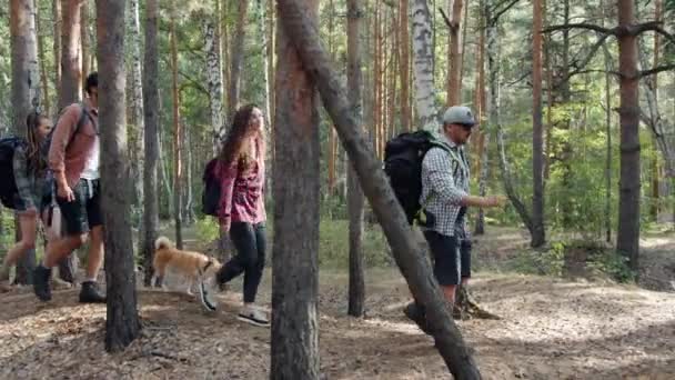 Gemischte Rassengruppe von Menschen, die mit Hunden im Wald spazieren gehen und die Natur und gesunde Aktivität genießen — Stockvideo