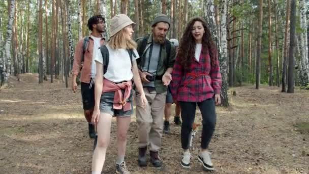 Cámara lenta de amigos jóvenes felices caminando en el bosque con perro charlando disfrutando de la naturaleza y la amistad — Vídeos de Stock