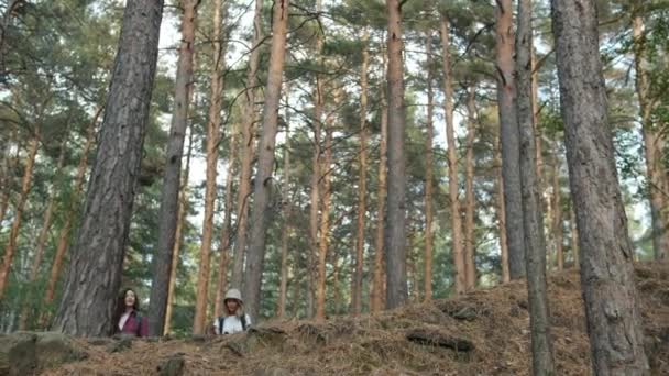 Zeitlupe glücklicher Freunde Touristen, die im Wald spazieren und dann die schöne Aussicht genießen, lachen — Stockvideo