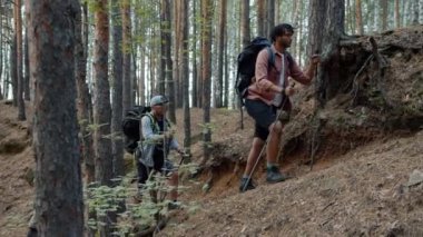 Dağlarda sırıkla yürüyen bir grup insan İskandinav yürüyüşünün keyfini çıkarıyorlar.