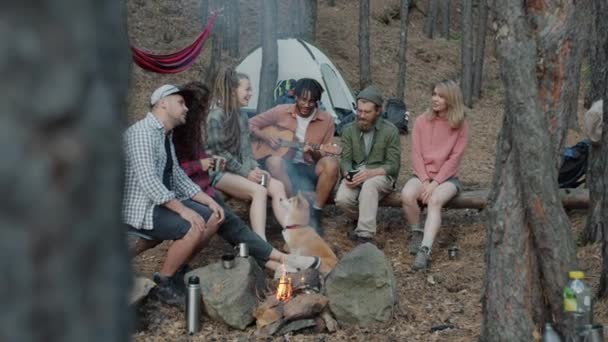 Çok ırklı bir grup genç gitar çalıp kamp ateşinin yakınındaki ormanda günün tadını çıkarıyor. — Stok video