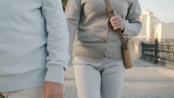 Retrato inclinado de hombres y mujeres mayores caminando por la ciudad tomados de la mano hablando — Vídeo de stock