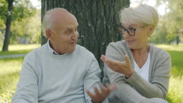 Gelukkig senior paar praten en glimlachen ontspannen op groen gazon in de zomer park — Stockvideo
