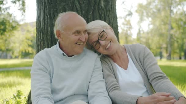 Ouderen houden van paar praten knuffelen uiten liefde zitten op weide in park — Stockvideo
