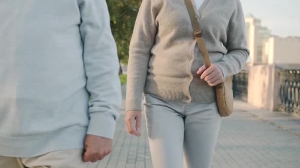 Szczęśliwa para małżeńska spaceruje ulicą miasta ręka w rękę rozmawiając ciesząc się rozmową w letni dzień — Wideo stockowe