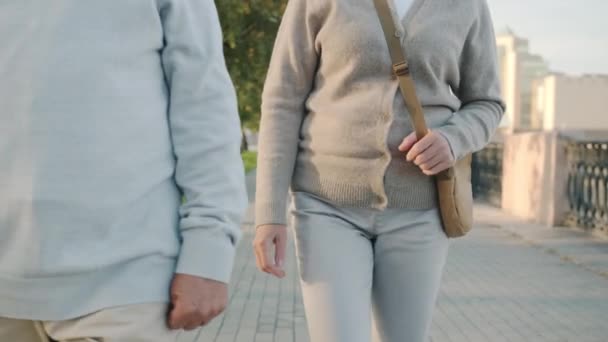 Casal feliz andando ao longo da rua da cidade de mãos dadas conversando desfrutando de conversa no dia de verão — Vídeo de Stock