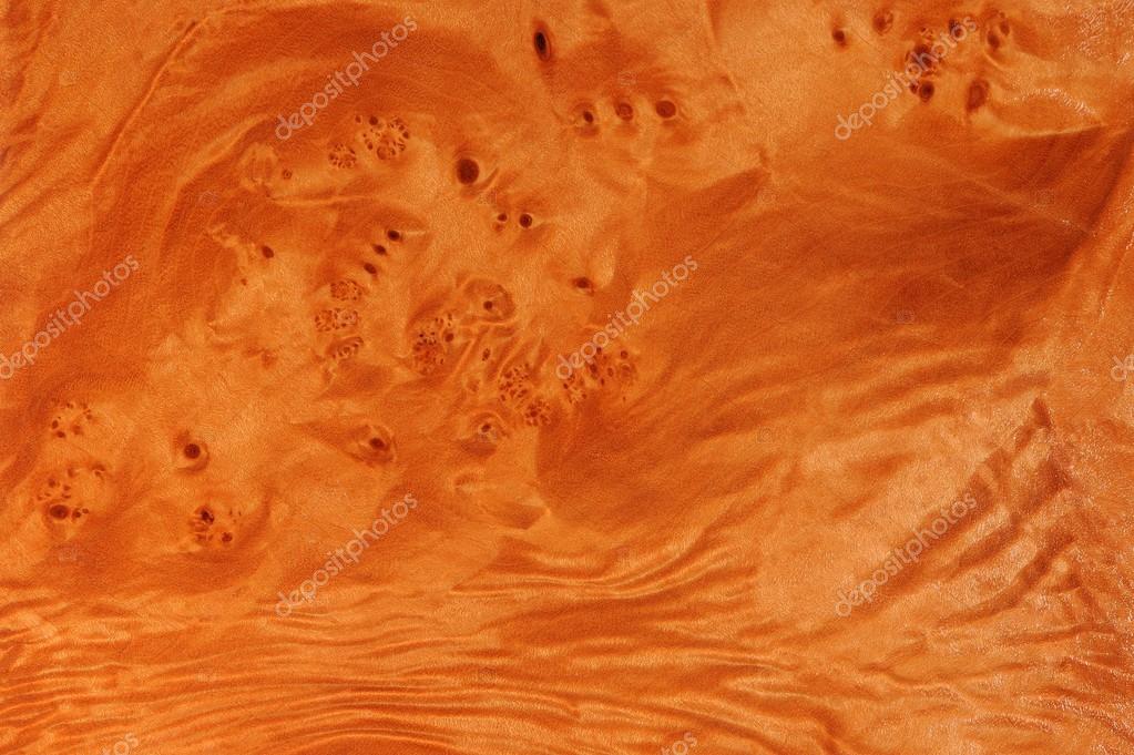 Maple Root Texture — Stock Photo © Digifuture 105448240