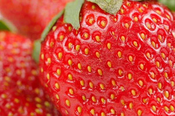 Red Strawbery Macro — Stock Photo, Image